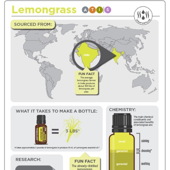 NEW Lemongrass Organic Body Scrub great exfoliant coffee or sugar #peacedbyalise - Picture 3 of 4